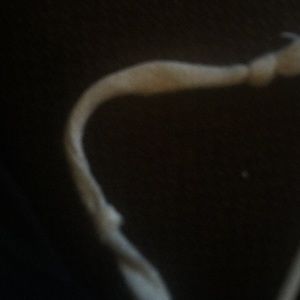 Meet your Posher, King